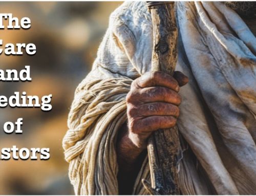 The Care and Feeding of Pastors