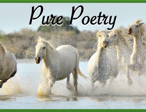 A Poem of Missions
