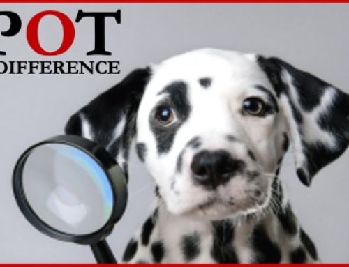 An Eye for the Difference