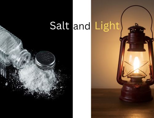Salt of the Earth; Light of the World